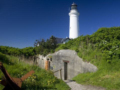 Landal Fyrklit - Jutland du Nord - Image N°18