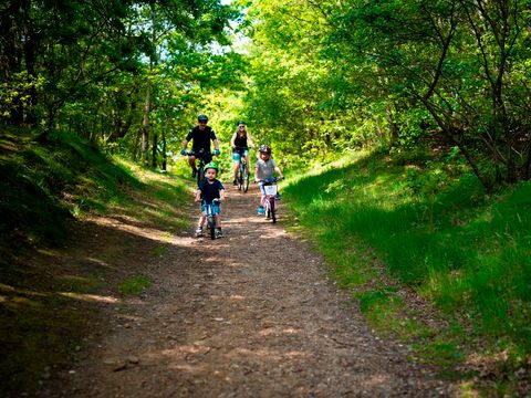 Landal Seawest - Danemark du Sud