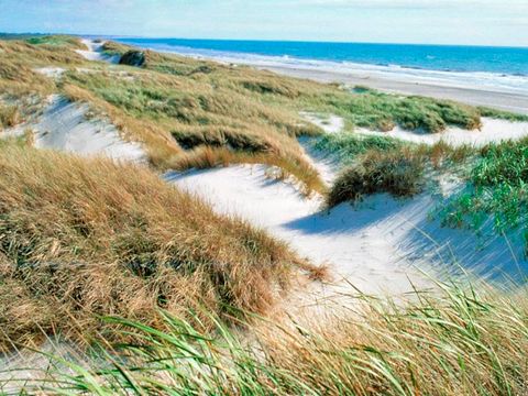 Landal Seawest - Danemark du Sud - Image N°40