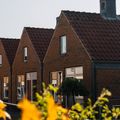 Ribe Byferie Resort