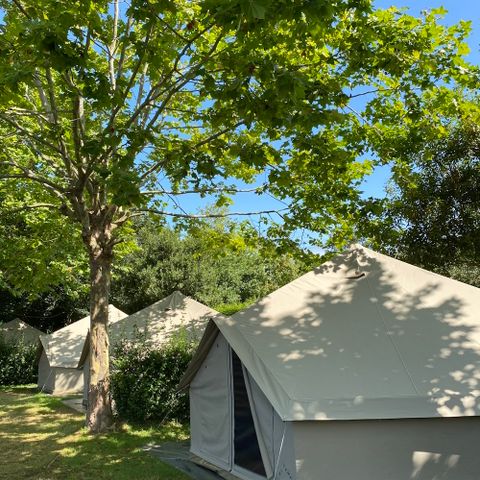 Wecamp Cudillero - Asturies - Image N°4