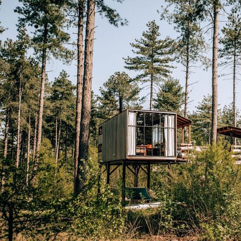 Warredal - Camping Limburg Belge - Image N°2