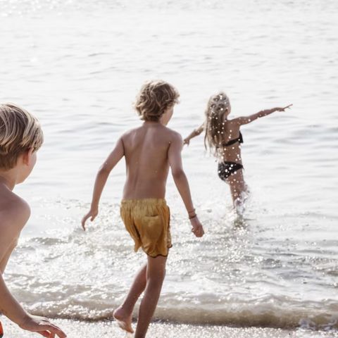 Roompot Strandhuisjes Julianadorp - Den Helder - Image N°5