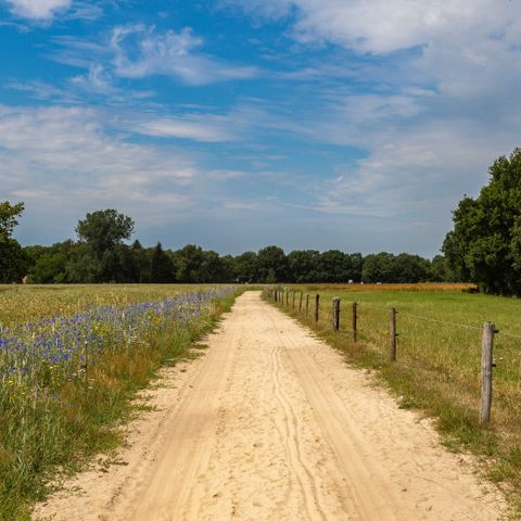 Camping de Kleine Wereld - Ommen - Image N°2