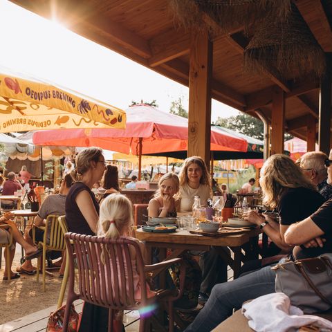 Camping de Kleine Wereld - Ommen - Image N°6