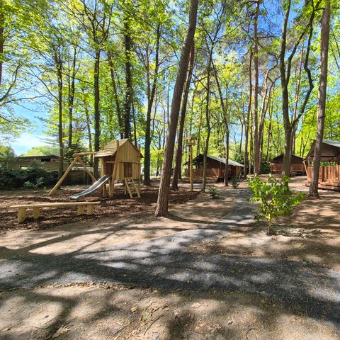 TENTE TOILE ET BOIS 6 personnes - Forest Lodge avec sanitaires