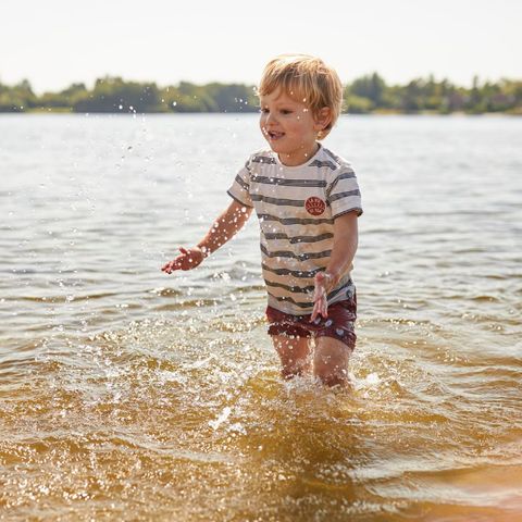 Landal de Wedderplassen - Camping Westerwolde - Image N°5