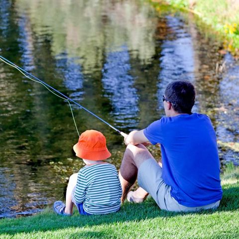 Camping Zavelbos - Limburg Belge - Image N°5