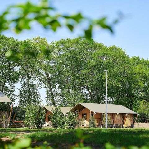 TENTE TOILE ET BOIS 6 personnes - Tente Safari | 6 Pers.