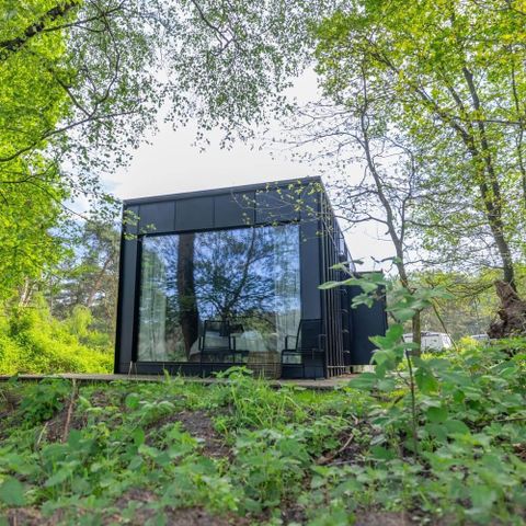 Tiny house 2 personnes - Cams Forest Cabin