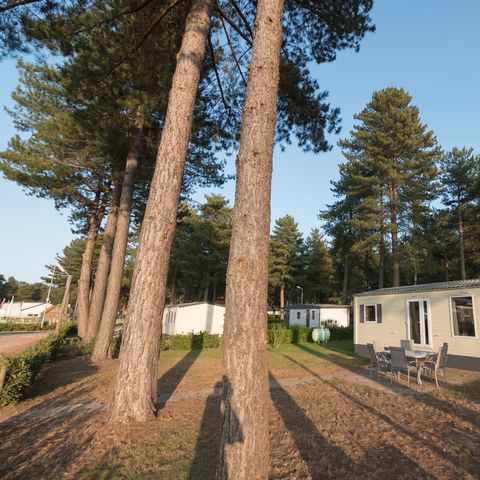 MOBILHOME 6 personnes - Sun Lodges