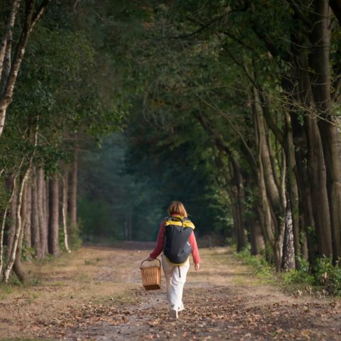 LODGE 4 personnes - Mobi Lodge