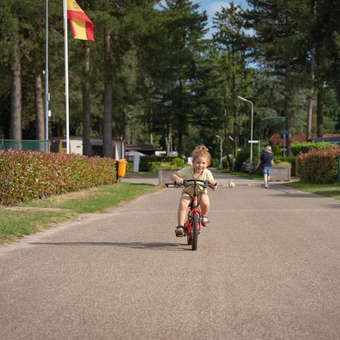 Arden Parks Tulderheyde - Anvers - Image N°4