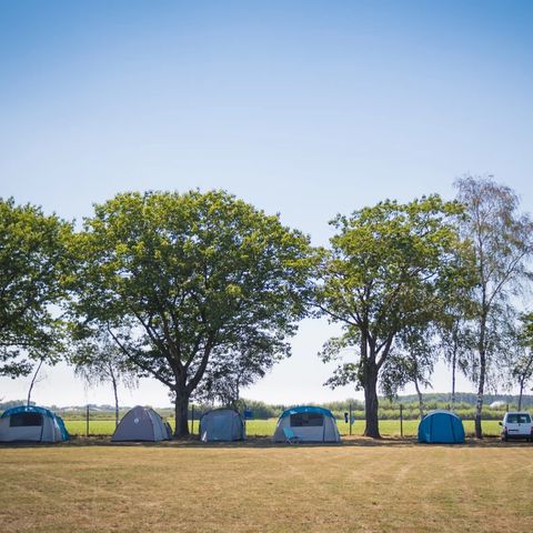 Arden Parks Tulderheyde - Anvers - Image N°6