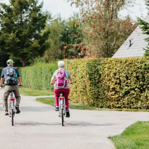 Drentse Vennen - Noordenveld - Image N°5