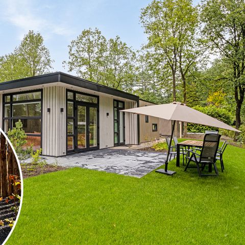 Bungalow 4 personnes - Forest Flight Wellness (bain à remous)
