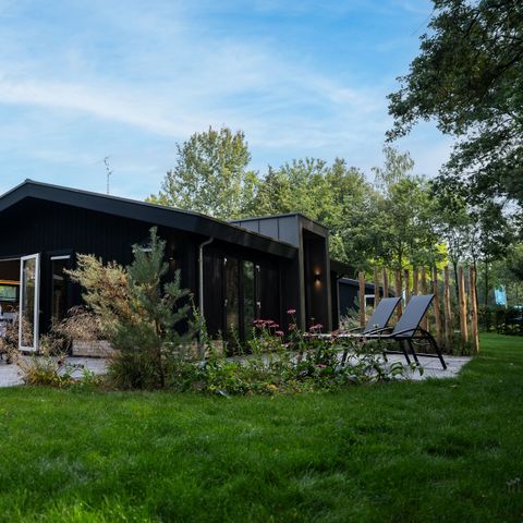 TopParken Resort de Brabantse Kempen - Reusel-De-Mierden - Image N°5