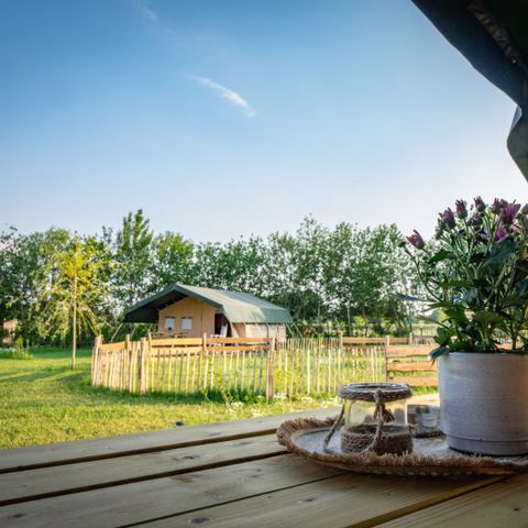 TENTE TOILE ET BOIS 4 personnes - Hoeve Klein Haneveld - tente safari 4 personnes