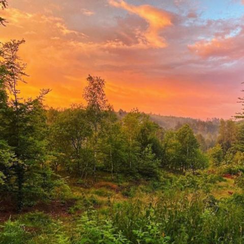 Vodatent Tolne Camping - Jutland du Nord - Image N°3