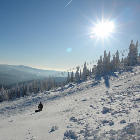 Landal Arber - Bavière - Image N°4