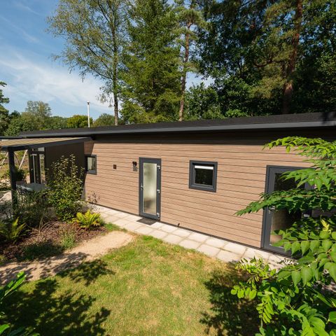 CHALET 5 personnes - Forest Lodge