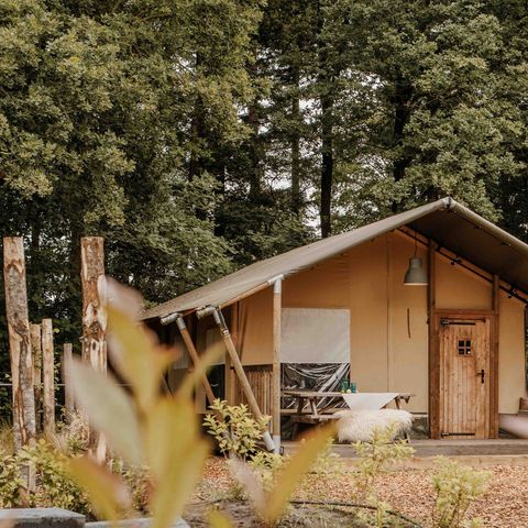 Tente en toile et en bois 6 personnes