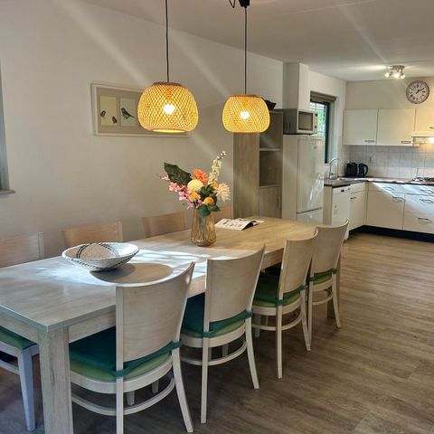 BUNGALOW 8 personnes - Stuifzand