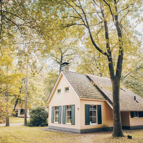 BUNGALOW 4 personnes - Esdorp avec un lit de camp | 4+2 personnes