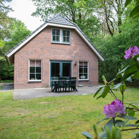 BUNGALOW 8 personnes - Stuifzand