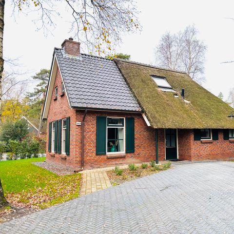 BUNGALOW 6 personnes - Stuifzand Wellness Outdoor Deluxe avec matelas