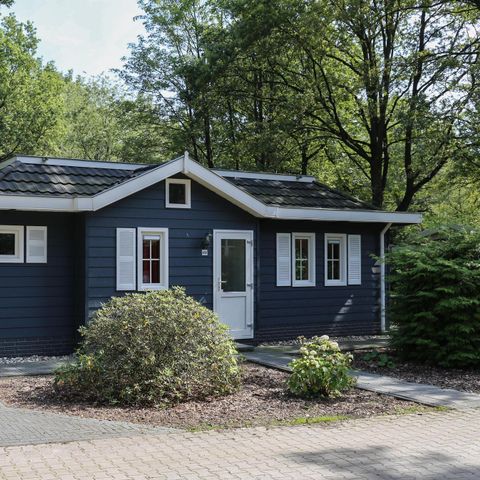 CHALET 6 personnes - Dotterbloem