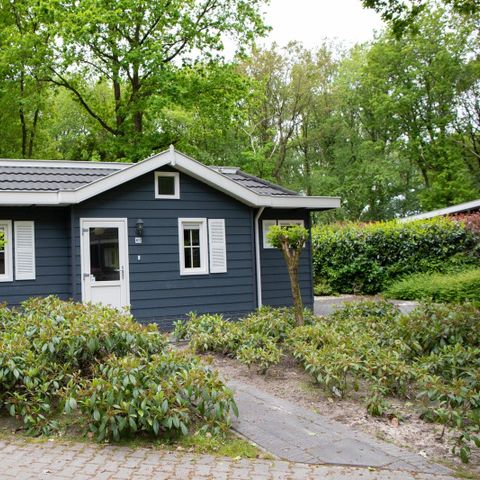 Landgoed Het Grote Zand - Camping Midden-Drenthe - Image N°5