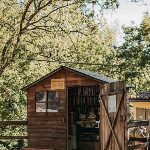 Vodatent Camping Lucherino - Grosseto - Image N°4