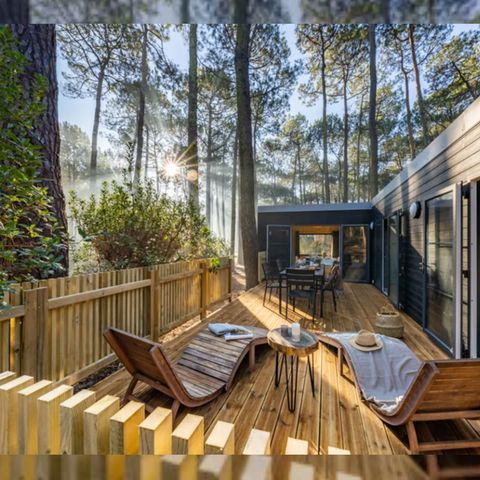 Tiny house 6 personnes - Tiny house Confort - 3 chambres - 2 salles d'eau