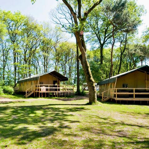 LODGE 6 personnes - L'été