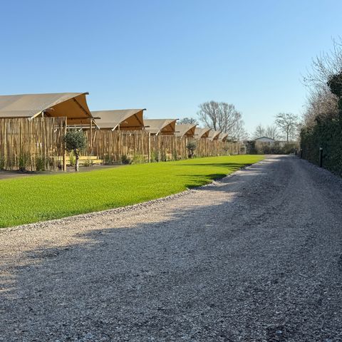 TENTE TOILE ET BOIS 6 personnes - Safari Lodge B