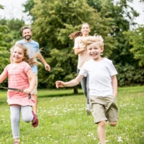Floreal Holidays Camping Het Veen - Flandre Occidentale - Image N°4