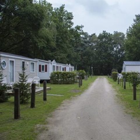 Floreal Holidays Camping Het Veen - Flandre Occidentale - Image N°6