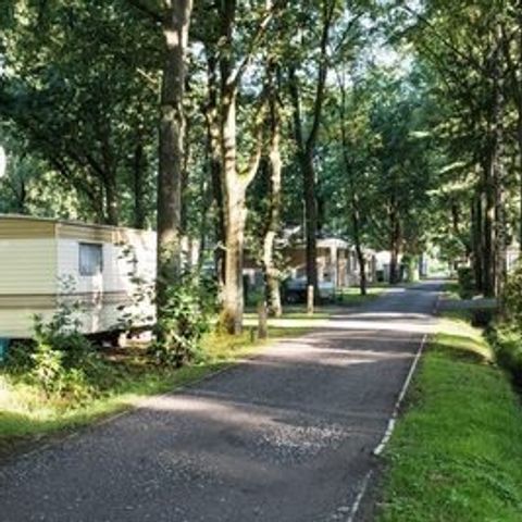 Floreal Holidays Camping Het Veen - Flandre Occidentale - Image N°5