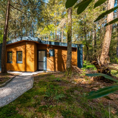 CHALET 6 personnes - Sandborg lodge