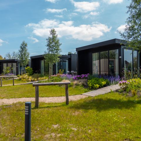 LODGE 5 personnes - Reedland