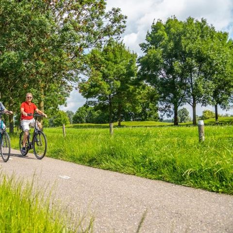 Vakantiepark Aan de Maas - Camping Maasdriel - Image N°6