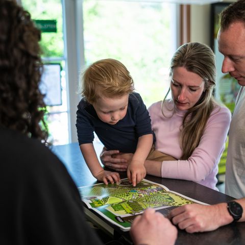 Camping Roland - Bergen - Image N°6