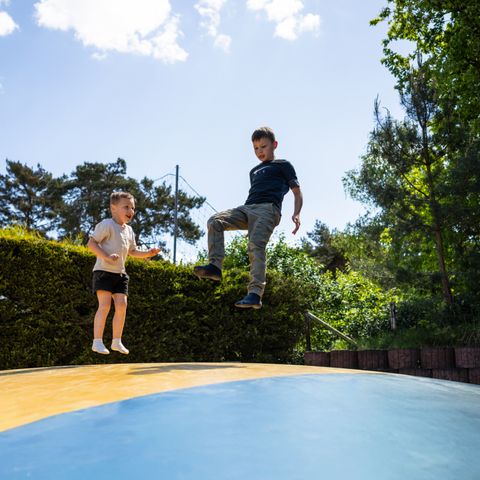 Camping Roland - Bergen - Image N°4