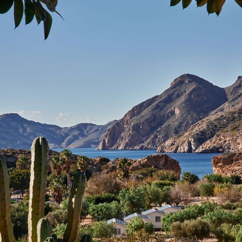 Camping El Portus - Camping Murcia - Image N°2