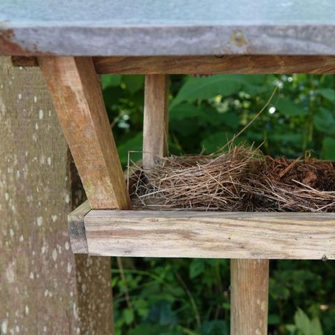 BUNGALOW 4 personnes - Dune 130