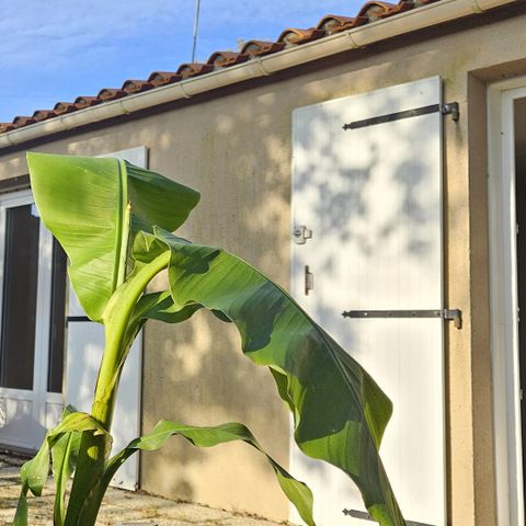 MAISON 5 personnes - Cottage Confort