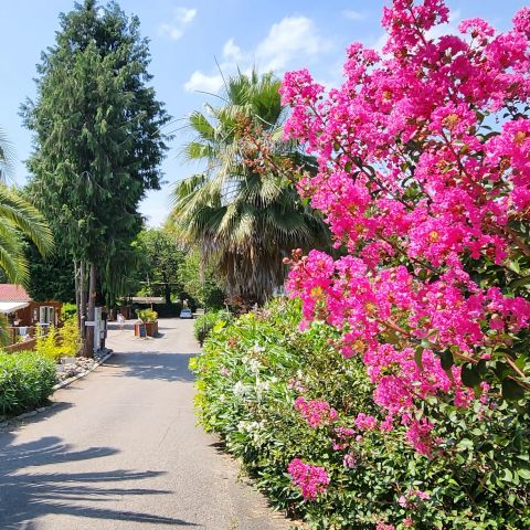 Camping City Nature - Pyrénées-Atlantiques - Image N°2