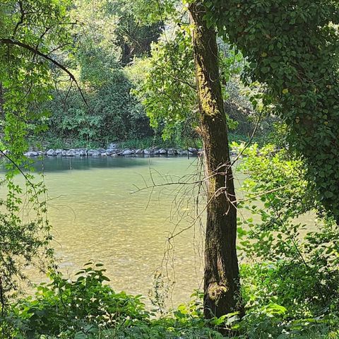 MOBILHOME 4 personnes - Mobil-home 2 chambres 2 salles de bain - Lescar MH D024