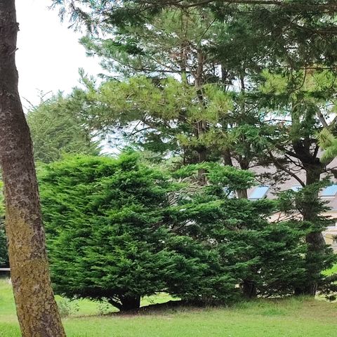 VVF Camping Les Dunes Créances - Manche - Image N°2